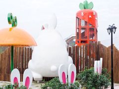 -黄龙溪欢乐田园
