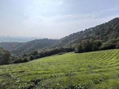 -敬亭山风景名胜区