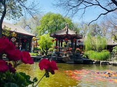 -白家大院·王府宫廷菜(苏州街店)