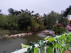 -茯茶镇