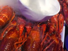 -西街夜油条·麻团包乌饭