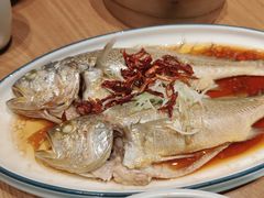 -波螺油子青岛本帮菜(银座店)
