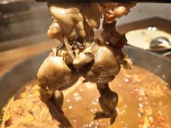 -老天桥蛙炉火锅(姑苏总店)