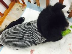 -思宇宠物医院