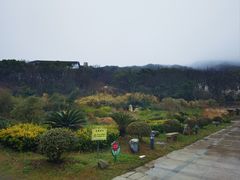 -妈妈菜舟山海鲜(定海古城店)