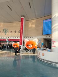 -天津市儿童医院(龙岩院区)