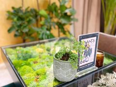 -PlantsEatery·植物食堂(REX春熙店)