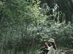 -燕晗山郊野公园