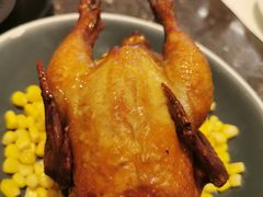 可乐春鸡-港丽餐厅(高德置地店)