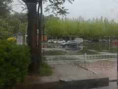 -秦皇岛野生动物园