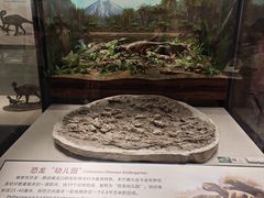 -辽宁古生物博物馆