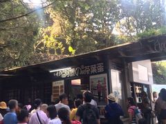 -金盆阿嬷香菇茶叶蛋(玄光店)