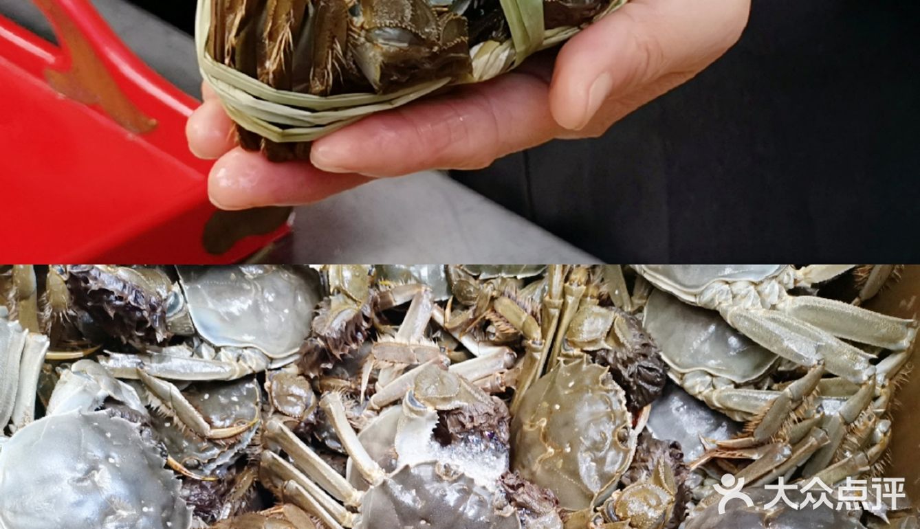 雅高心悦界x周雪龙|阳澄湖好蟹金秋赶蟹季