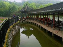 -龙头寺公园