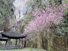 -温州永嘉书院