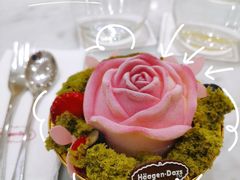 -哈根达斯(大洋百货店)