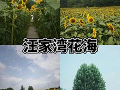 -老鼎万春卤菜(五代传承创始老店)