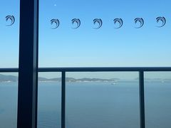 -舟山希尔顿酒店