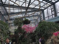 -天目湖山水园