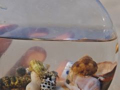 -石螺口海滩