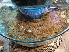 -蓝珊甄选海鲜自助·火锅大排档(近阿那亚店)