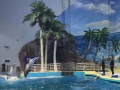 -福州罗源湾海洋世界旅游区