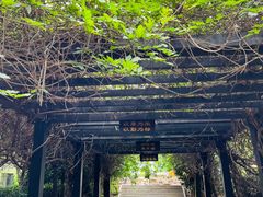 -九龙潭景区