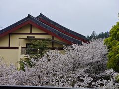 -庐山风景名胜区-东林大佛