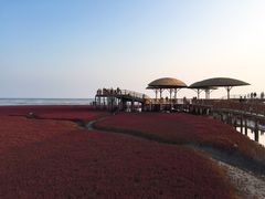 -红海滩国家风景廊道