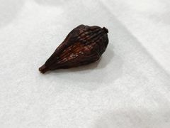-望江门227龙虾馆