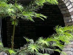 -磐安十八涡景区