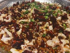 -三猫黑鱼花(南大店)