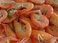 -南蚝小贝海鲜特色餐厅(南澳岛店)