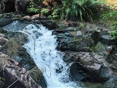 -广州白江湖森林公园