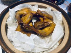 -大鸽饭(汉溪长隆店)