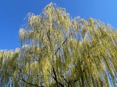 -济南国际园博园