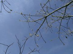 -大明山自然探索公园