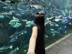 -波塞冬旅游度假区