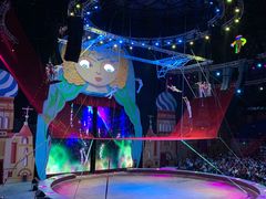 -俄罗斯国家大马戏团