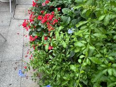 -Beans Solo豆号咖啡(百家湖花园店)