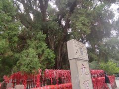 -四门塔风景区