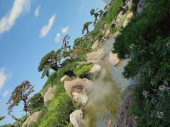 -罗红摄影艺术馆