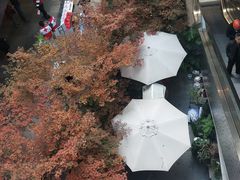 -瑞虹新天地月亮湾