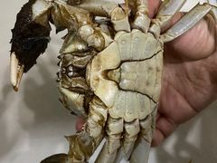 -七星龙虾城·海鲜·大闸蟹(吴江店)