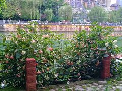 -成都市活水公园