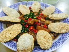 -张鸟园农家乐(张鸟园店)