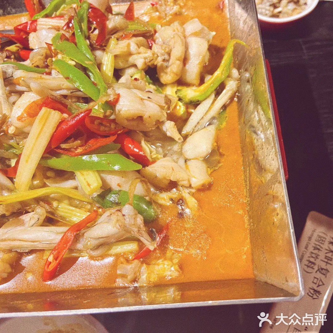 蛙三｜🐸牛蛙爱好者请去打卡吧‼️