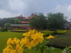 -广东圆玄道观