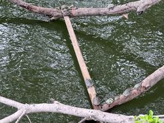 -福道