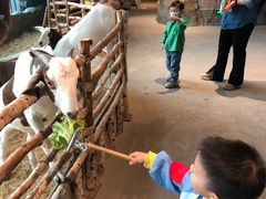 -KKV(深圳宏发大仟里店)